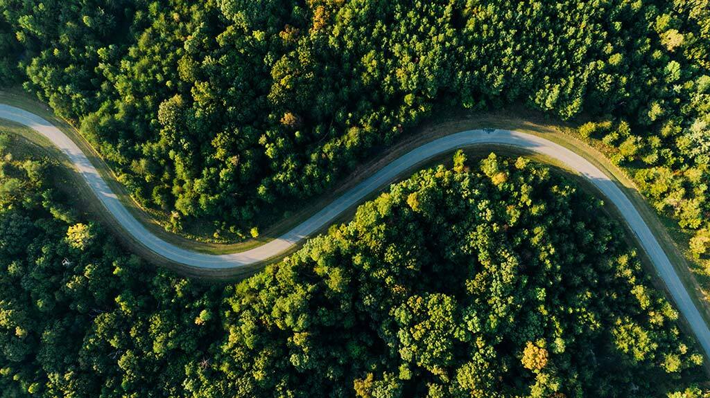 Aerial view of winding road through forest
